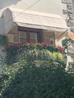 El balcón de Araceli